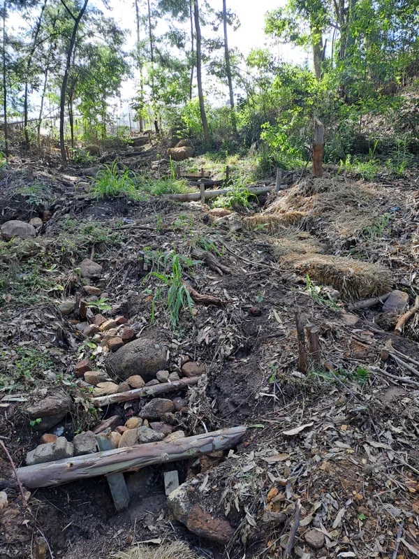 Erosion control and invasive plant clearing, George — Six Kingdoms land management